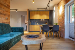 Apartament City Center Modern Loft 6 - Luxury Standard